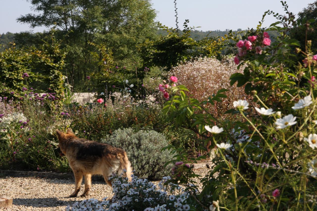 Chateau Manoir De La Leche Touvre 외부 사진